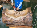 Freza de gauri 3