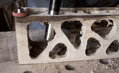 Arbore sculptura lemn TurboShaft Arbortech
